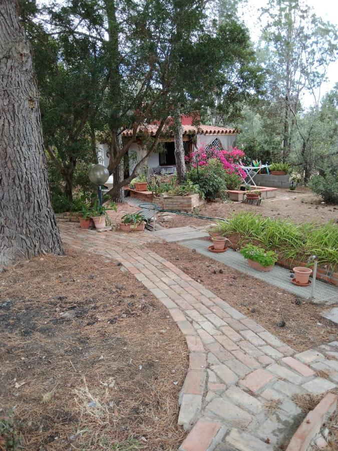 Villa Tiny House Cagliari Esterno foto